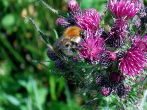 Breaking the silence