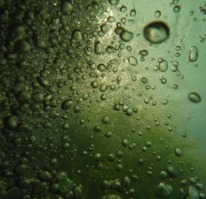 Rising up through bubbles