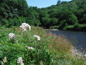 Looking upstream from the boulder beach