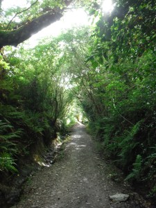 The beautiful, but steep, descent towards the sea