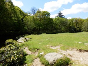 The moorland 'lawn' at Spitchwick
