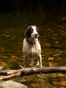 MB - villain of the peace!