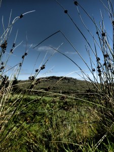 Climbing uo to Crazywell