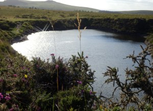 Crazywell Pool in late summer