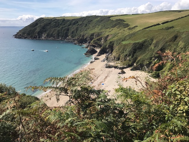 Lantic Bay from clifftop