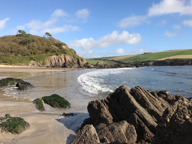 Mothecombe jewell .jpg